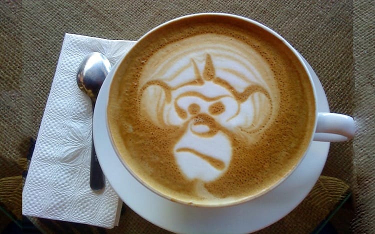 Monkey Face In Coffee Cup